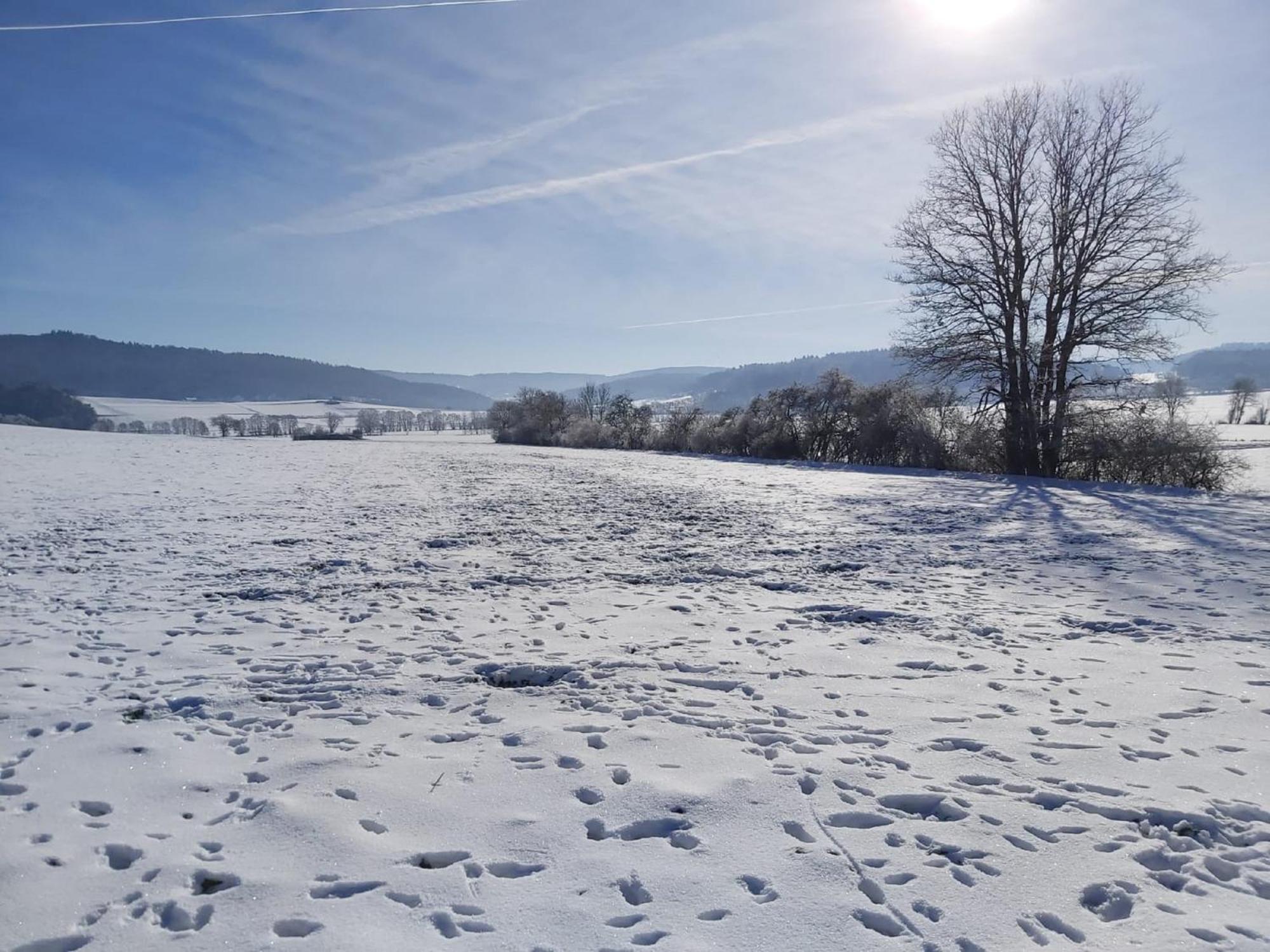 Reitze Hoob Apartment Hommertshausen Luaran gambar
